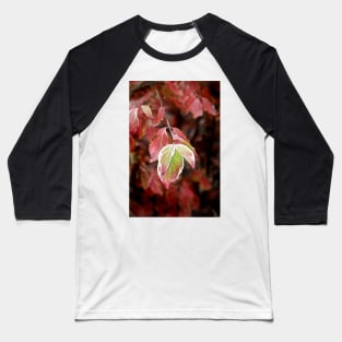 November Dogwood Baseball T-Shirt